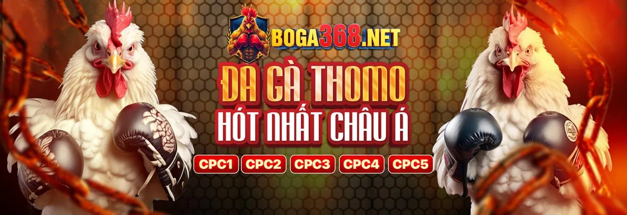 Cách p888 nhà cái sử dụng cookie để tối ưu trải nghiệm